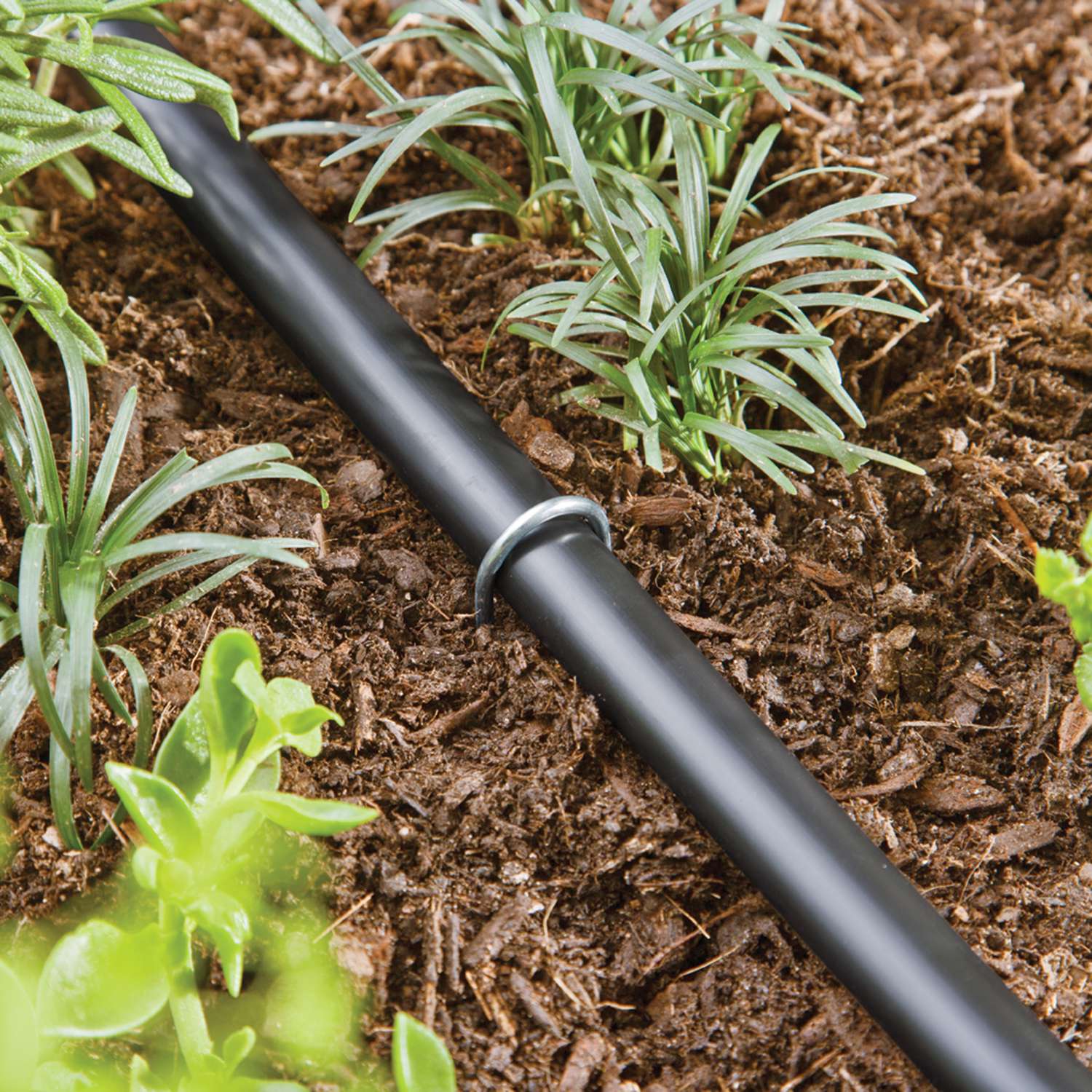 Raindrip Drip Irrigation Stake Ace Hardware