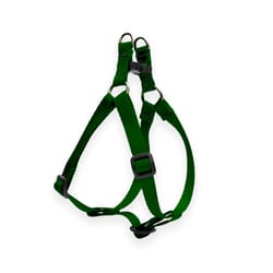 Lupine Pet Basic Solids Green Green Nylon Dog Harness