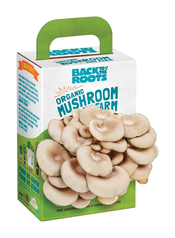 Photos - Garden & Outdoor Decoration Back to the Roots Mushroom Mini Farm 1 pk 1200100