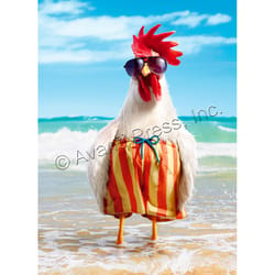 Avanti Rooster Wears Swimsuit Birthday Card Paper 2 pc