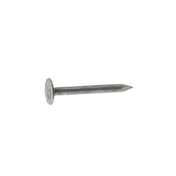 Grip-Rite 1-1/4 in. Roofing Electro-Galvanized Steel Nail Flat Head 30 lb