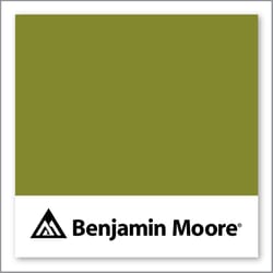 Benjamin Moore Dark Celery 2146-10