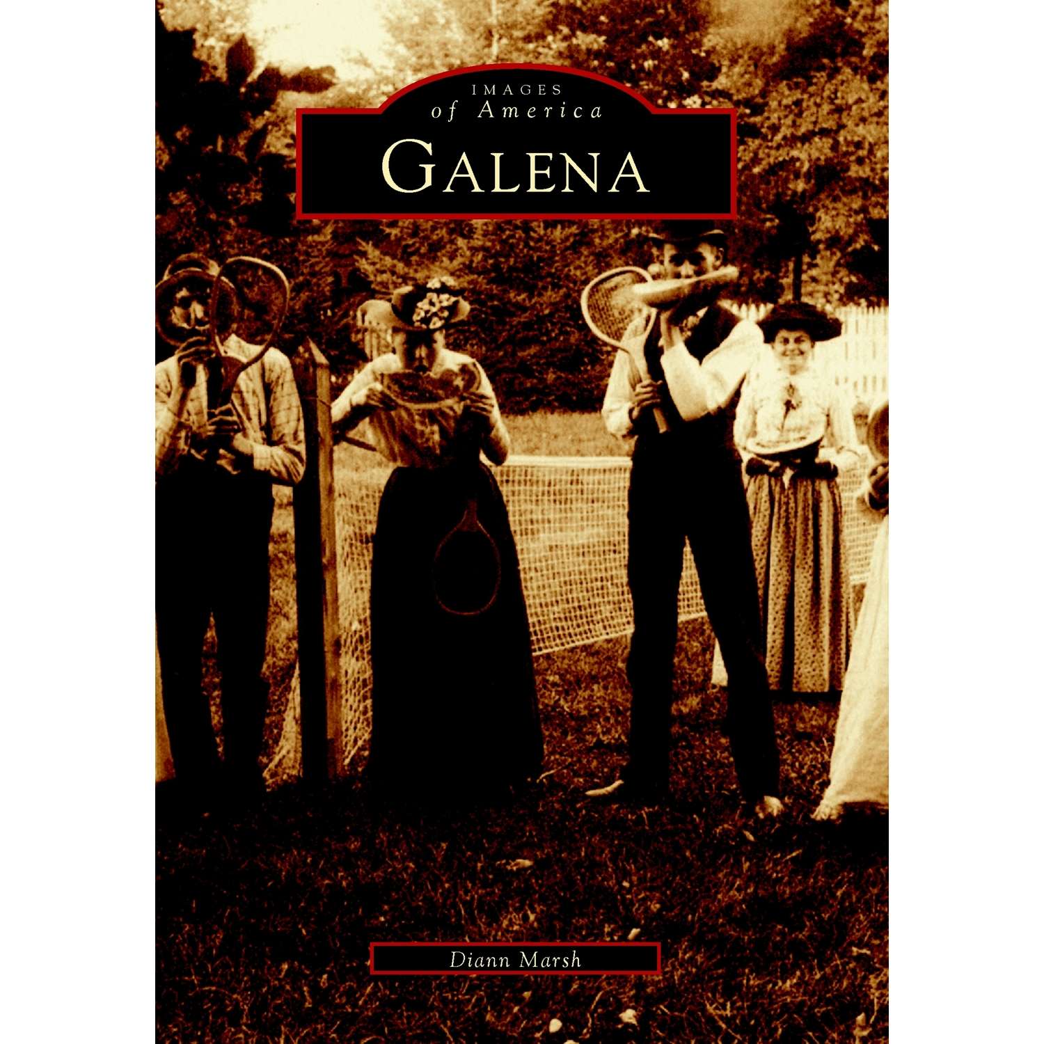 Arcadia Publishing Galena History Book Ace Hardware