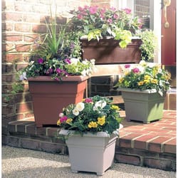 Novelty 10 in. H X 27 in. W X 12 in. D Plastic Countryside Patio Planter Terracotta