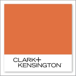 Clark+Kensington Tropical Heat 11C-6