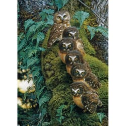 Cobble Hill Family Tree Jigsaw Puzzle 1000 pc