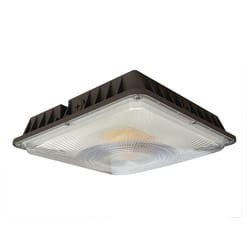 Lumak LED Canopy Light