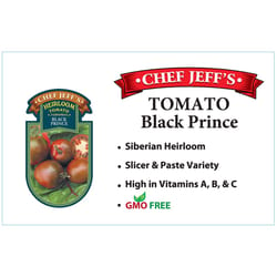 Chef Jeff Purple Heirloom Black Prince Tomato Vegetable Plant