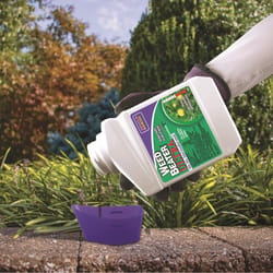 Bonide Weed Beater Weed Killer Concentrate 1 pt