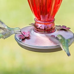 Perky-Pet Hummingbird 18 oz Glass Daisy Vase Vintage Nectar Bird Feeder 4 ports