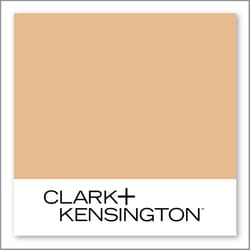 Clark+Kensington Golden Squash 16B-5