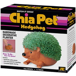 Chia Pet Hedgehog Decorative Planter Clay 1 pk