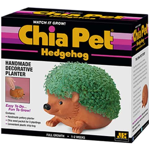 Chia Pet Planter Ceramic Indoor Plant Pots Cat Grass The Child