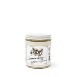 Finding Home Farms White Cinnamon Pinecone Scent Candle 7.5 oz