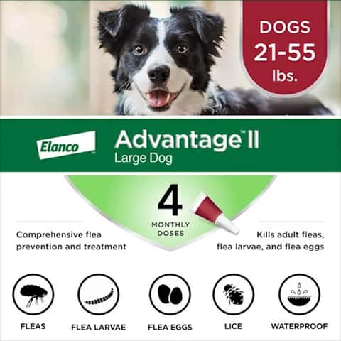 Advantage drops hot sale for dogs