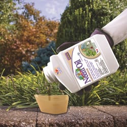 Bonide Captain Jacks Organic Fungicide/Insecticide/Miticide Liquid Concentrate 16 oz