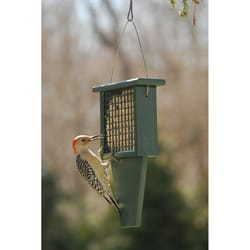 Songbird Essentials Woodpecker 1 each Plastic Suet Feeder Cage