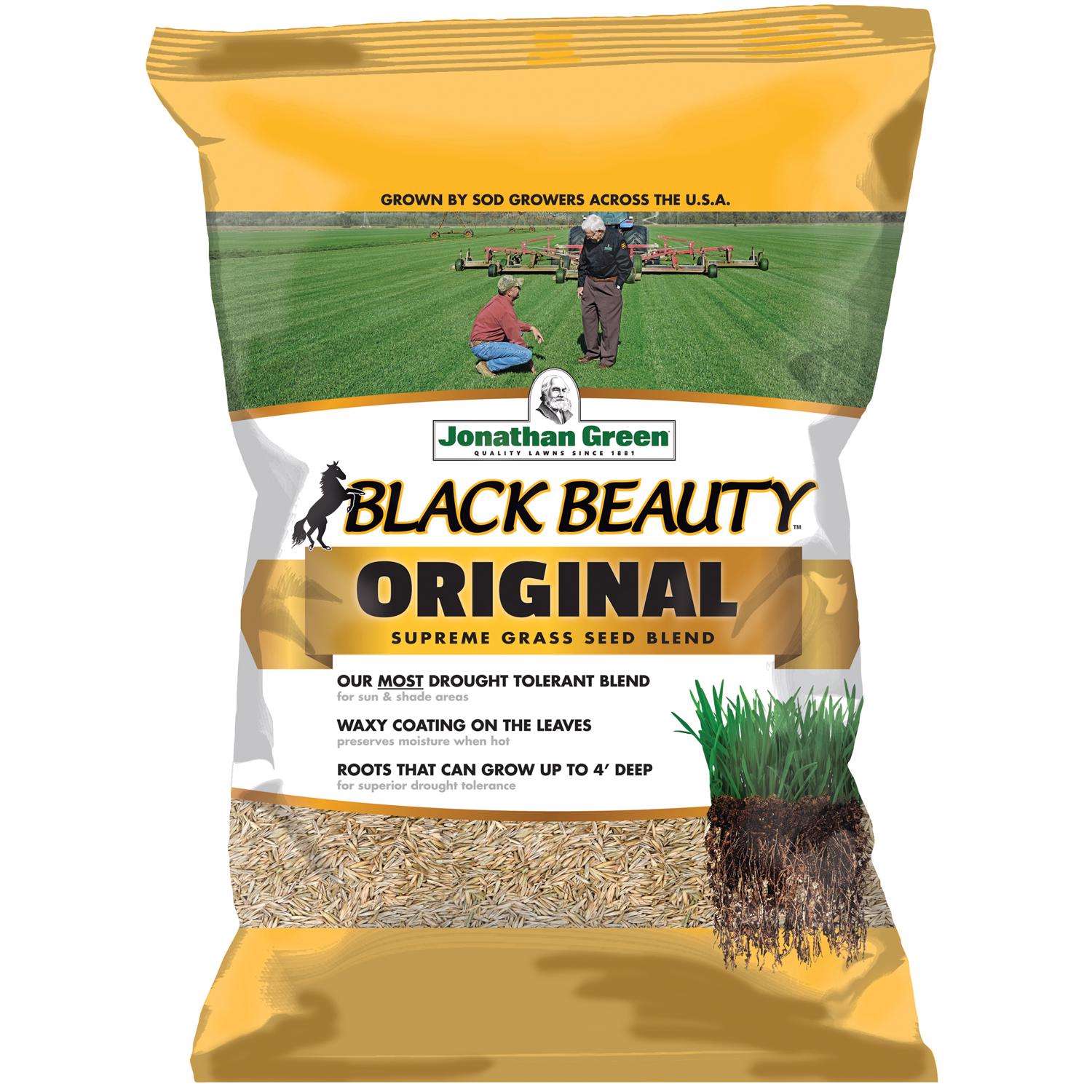 Jonathan Green Black Beauty Tall Fescue Grass Sun or Shade Grass Seed