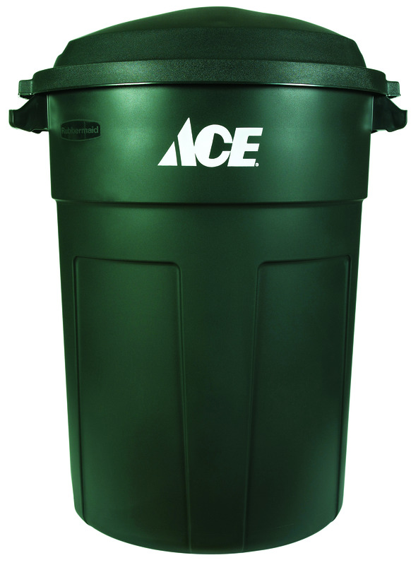 Black Rubbermaid Roughneck 20 Gallon Plastic Outdoor Garbage Can with Lid -  Ace Hardware - Ace Hardware