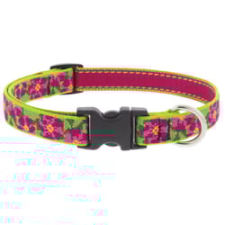 Lupine Pet Multicolored Petunias Nylon Dog Adjustable Collar