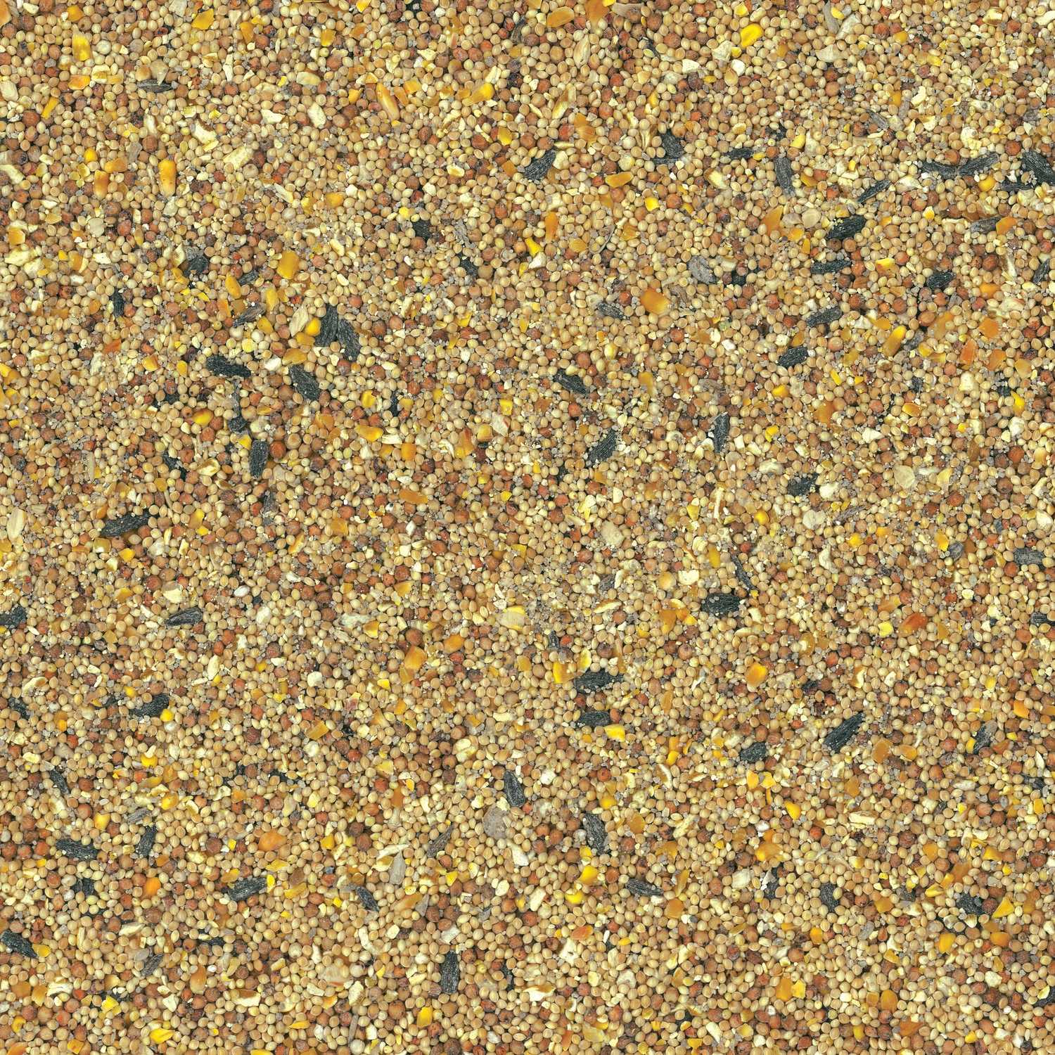 Ace Assorted Species Wild Bird Food Millet and Milo 20 lb. Ace Hardware