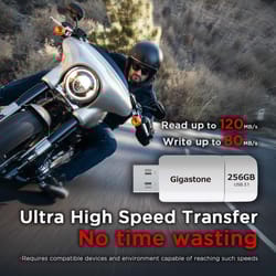 Gigastone Flash Drive 256 GB 1 pk