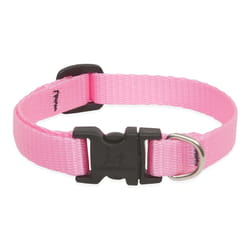 Lupine Pet Basic Solids Pink Pink Nylon Dog Adjustable Collar