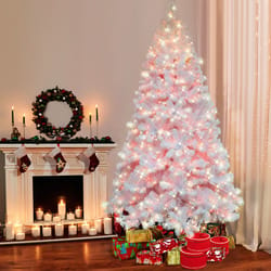 Puleo International 7-1/2 ft. Full Incandescent 600 ct White Northern Fir Christmas Tree