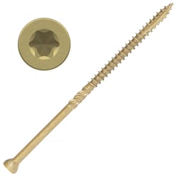 Screw Products EPIC No. 9 X 4 in. L Star Coated Deep Trim Screws 305 pk