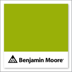 Benjamin Moore Dark Lime 2027-10