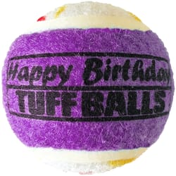 Petsport Assorted Polyster/Rubber Jr. Happy Birthday Tennis Balls 4 pk