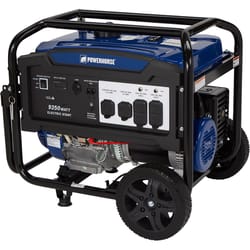 Powerhorse 120 V Gas Generator