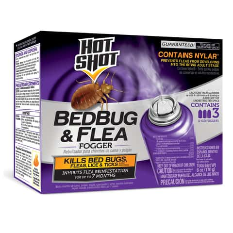 Hot Shot Kitchen Bug Killer - 14 oz can