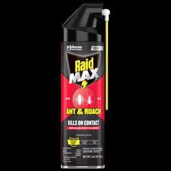 Raid Insect Killer Aerosol 17.5 oz