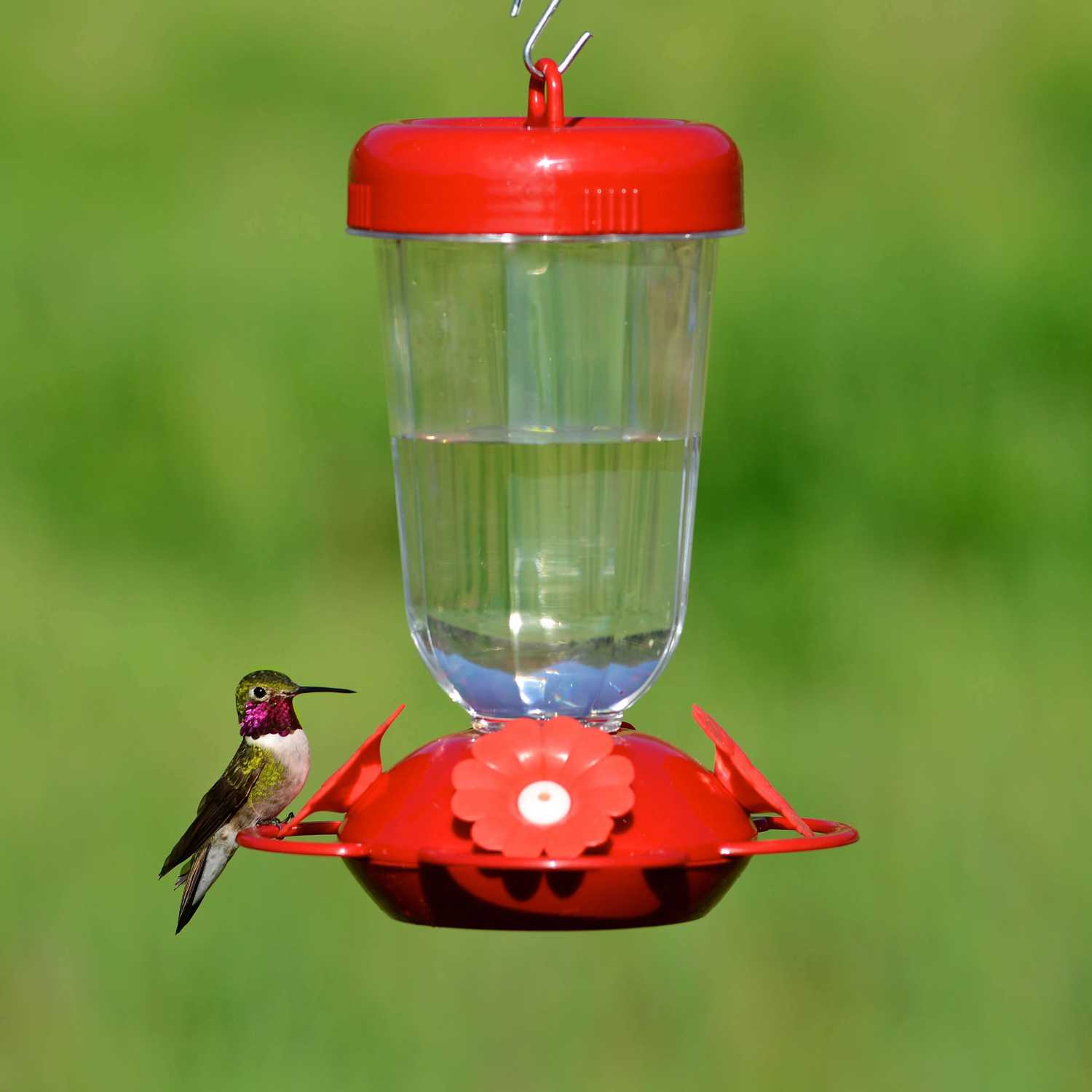 Perky-Pet Hummingbird 16 oz. Plastic Nectar Feeder 4 ports - Ace Hardware