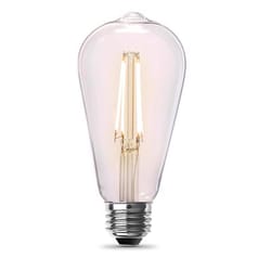 Feit ST19 E26 (Medium) Filament LED Bulb Soft White 60 Watt Equivalence 2 pk