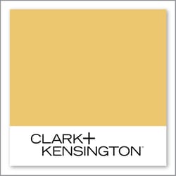 Clark+Kensington Limoncello 22B-5