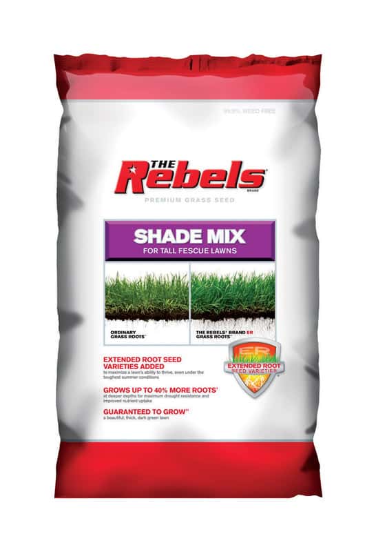 Pennington Seed The Rebels Tall Fescue Shade Grass Seed 3 lb. Ace