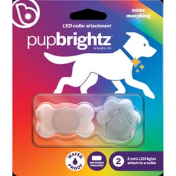 Brightz Pup Brightz Clear Bone and Paw Rubber Dog Collar Light One Size Fits All