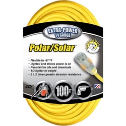 Southwire Polar/Solar Outdoor 100 ft. L Yellow Extension Cord 14/3 SJEOW