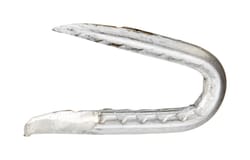 Ace 0.25 in. W X 1-1/4 in. L Galvanized Steel Fence Staples 5 lb