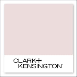 Clark+Kensington Baby's Breath 05A-1