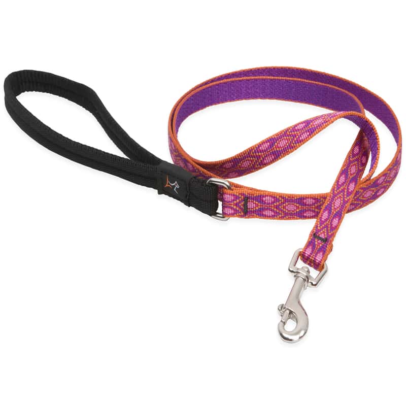 Lupine Pet Original Designs Multicolor Alpen Glow Nylon Dog Leash Ace