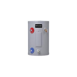 Reliance 19 gal 1650 W Electric Water Heater