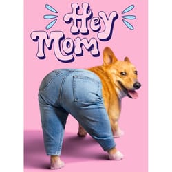 Avanti Seasonal Corgi Dog Mom Jeans Mother's Day Card Paper 2 pc