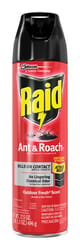 Raid Insect Killer Aerosol 17.5 oz