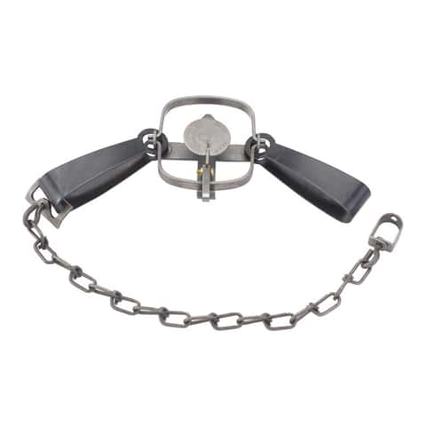 Duke #11 Foot-Hold Animal Trap For Raccoons 1 pk