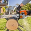MS 250, High-Performance Compact Chainsaw