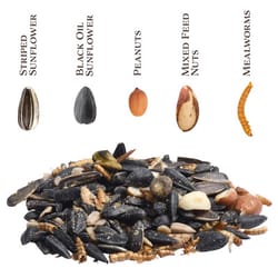 Songbird Selections Premium Protein with Mealworm Wild Bird Seed Wild Bird Food 10 lb