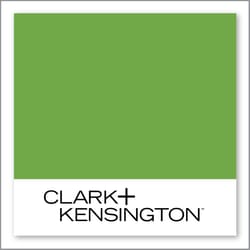 Clark+Kensington Key Lime 27D-5